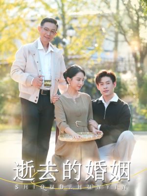 14895-逝去的婚姻（60集）孔莹莹-热门短剧搜索