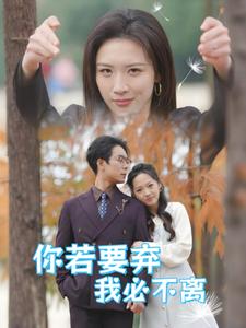 16209-你若要弃我必不离&绝望主妇怒点天灯（30集）-热门短剧搜索